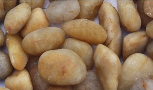 OM-2002E (3-5cm)-640x853.jpg