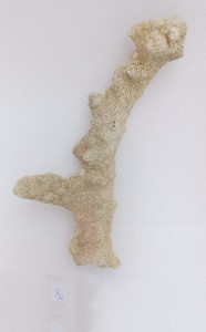 Sucha skała koralowa naturalna Branch 0,60kg nr P92