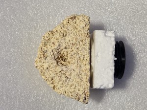 AquaCeramic półka magnetyczna na szczepki rozm. S