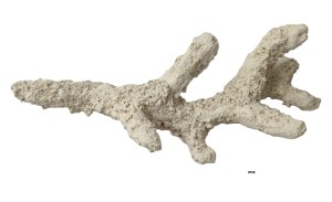 Skała Ceramiczna Patyki Pukani Rock 0.77kg PC9