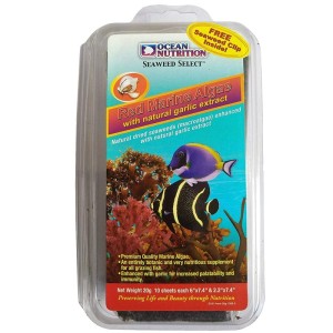 Ocean Nutrition Seaweed Red 20g algi z czosnkiem + klips