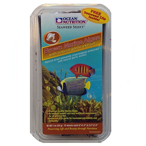 ocean-nutrition-seaweed-brown-12g-algi-z-czosnkiem (7).jpg