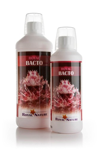 RN_Bacto-500ml_1000mlx1200.jpg