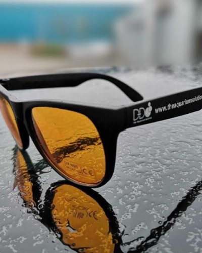 Coral Viewing Sunglassses from Kraken Corals 2 web.jpg