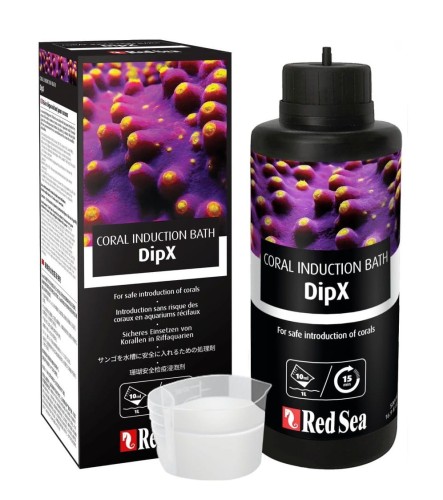 dipx-box-bottle-2.png