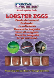 Ocean Nutrition Lobster Eggs mrożony ciekłym azotem ikra homara 100g